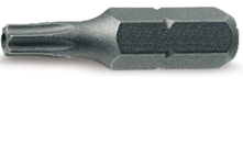 Delikli Torx Tornavida Uçları
